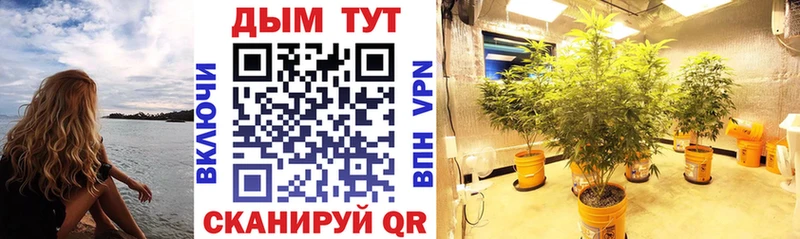 Бошки Шишки тримм  как найти закладки  Саяногорск 
